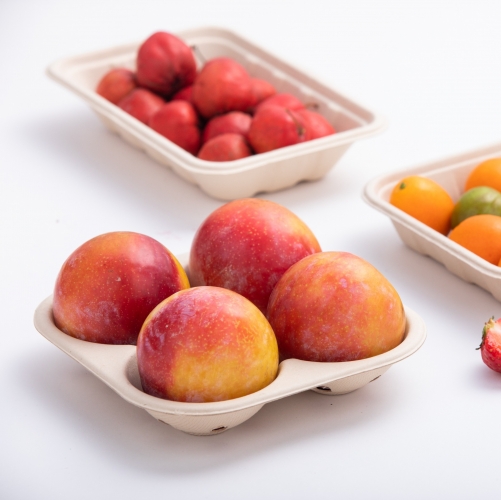 6.14"x6.14"x1.18" Bagasse Compostable 4 Division Fruit Tray