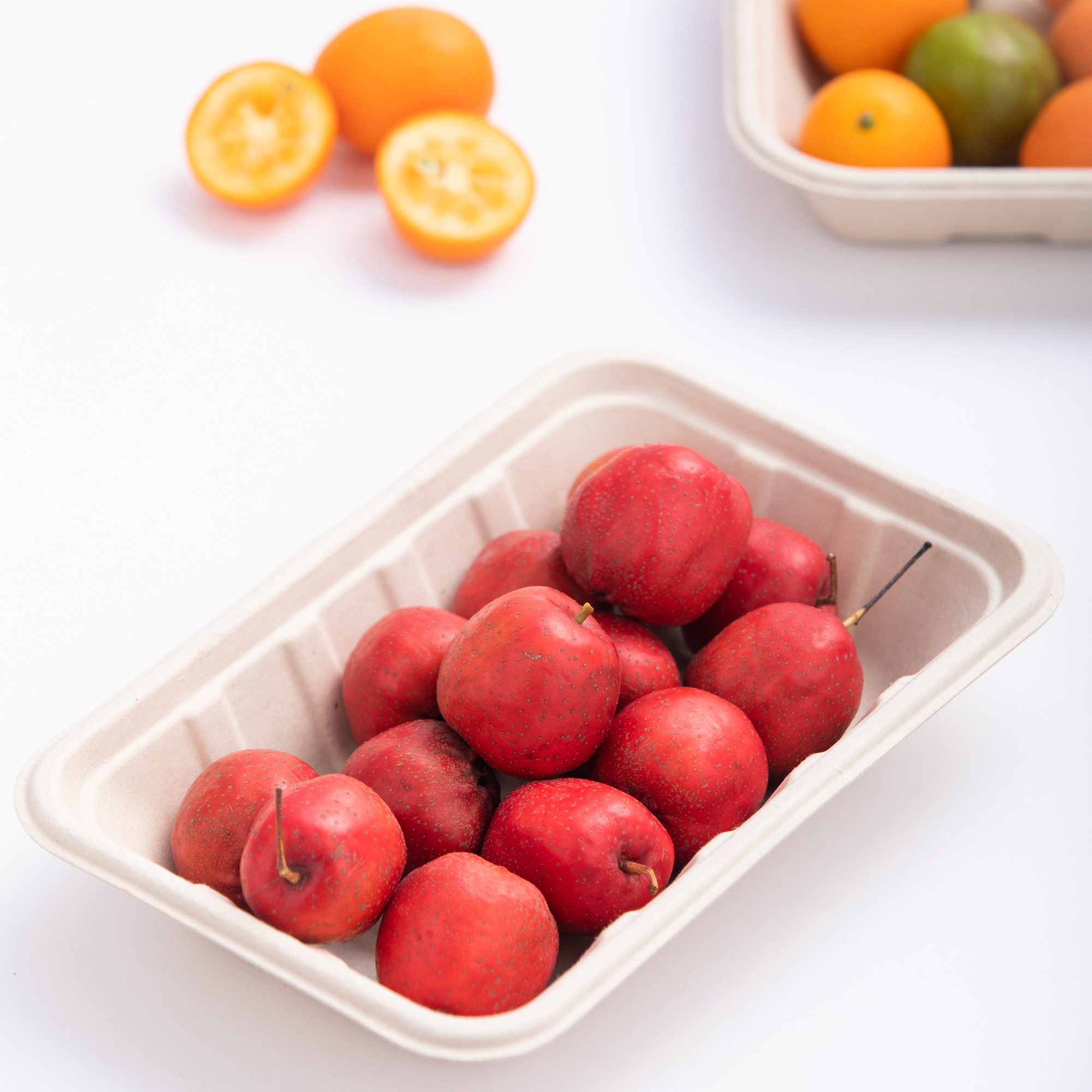 7.3"x4.8"x1.4" Bagasse Compostable Eco Friendly Fresh Food Packaging Tray