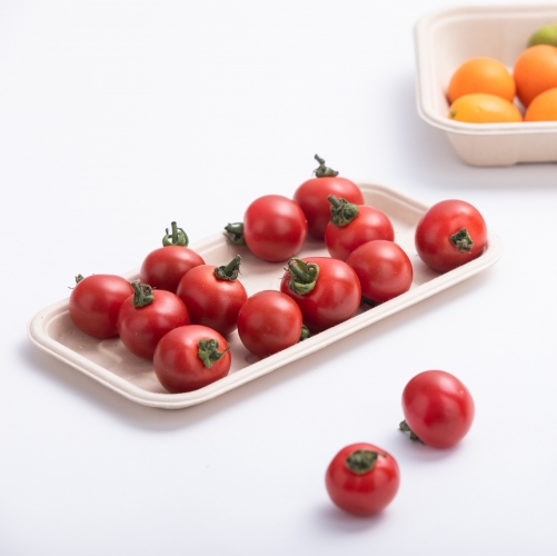 8.3"x4.3"x0.5" Bagasse Compostable Fresh Fruit Veggie Platter for Party