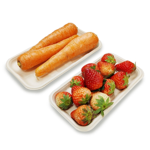 9.4"x5"x0.5" Bagasse Compostable Large Fresh Veggie Fruit Plate Tray for Party
