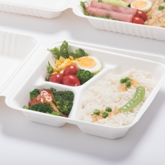 800ml 8x8xH2.48" (Fold) 31g 3 Compartment Bagasse Compostable Eco Food Containers To Go
