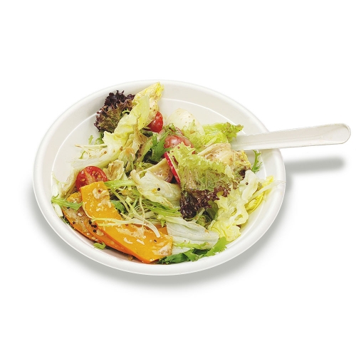 710ml 24oz Φ8.19"xH1.78" 21g Bagasse Compostable Takeaway Soup Bowl Paper with Cover