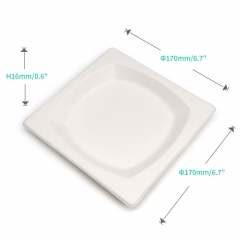 6.7" 10g Diamond Bagasse Compostable Disposable Party Dish