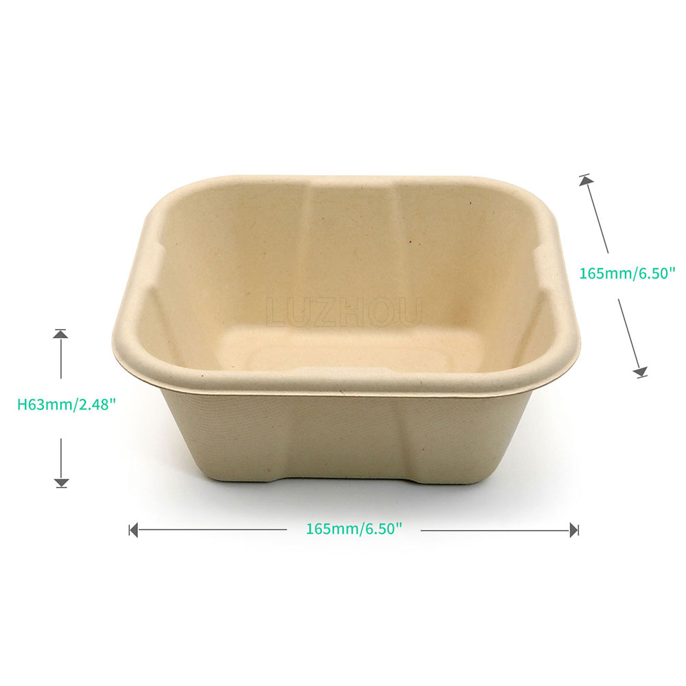 700ml 6.5"x6.5"xH2.5" 21g Squre Bagasse Compostable Disposable Takeaway Paper Bento Meal Box