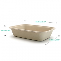 800ml 8.5"x6"xH1.8" 20g Bagasse Compostable Catering Take Away Food Containers with Lid