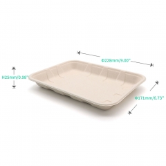 9"x6.7"x1" Bagasse Compostable Fruit Veggie Platter Tray