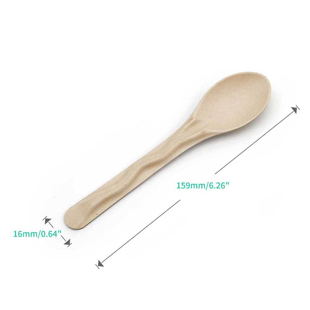 6.14" 3.2g Heavy-Duty Bagasse Bio-degradable Compostable Spoon