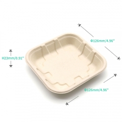 5"x5"x0.9" Bagasse Compostable Assorted Fruit Tray