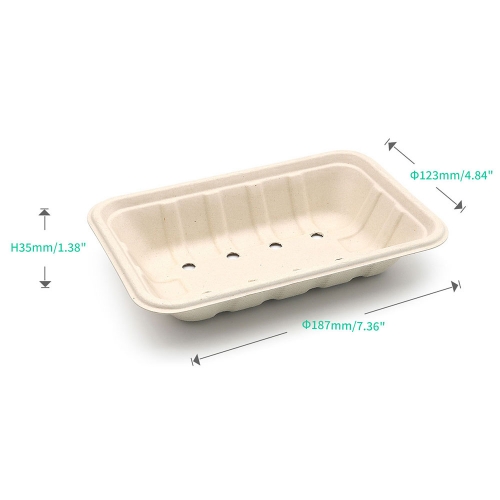 7.3"x4.8"x1.4" Bagasse Compostable Eco Friendly Fresh Food Packaging Tray