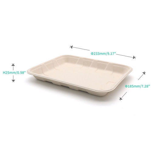 9"x7.3"x0.98" Bagasse Compostable Eco Friendly Fresh Vegetable Platter Tray