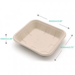 6"x5.7"x1.3" Bagasse Compostable Platter Tray for Fresh Fruit Vegetable