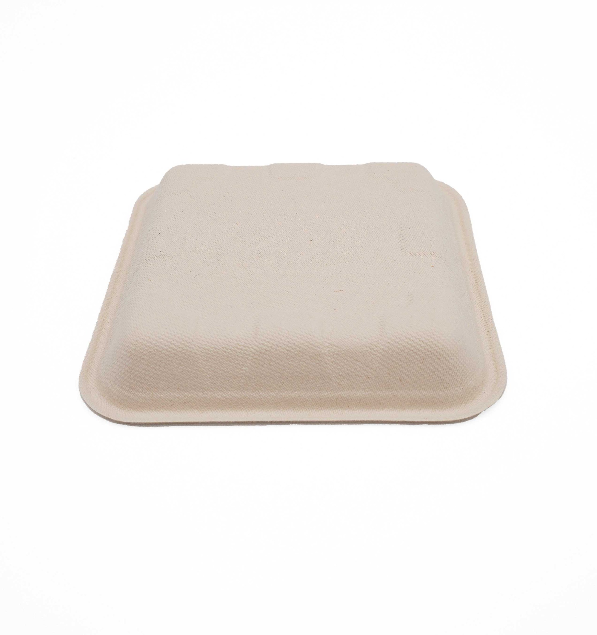 6.06"x6.06"xH0.91" Bagasse Compostable Tray for Fresh Fruit