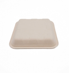 6.06"x6.06"xH0.91" Bagasse Compostable Tray for Fresh Fruit