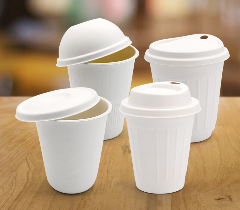 New Release - Bagasse Coffee Cup