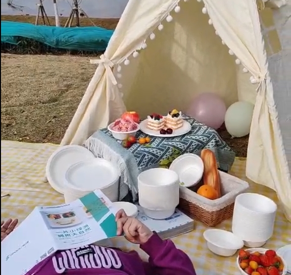 Biodegradable Tableware Used in Picnic