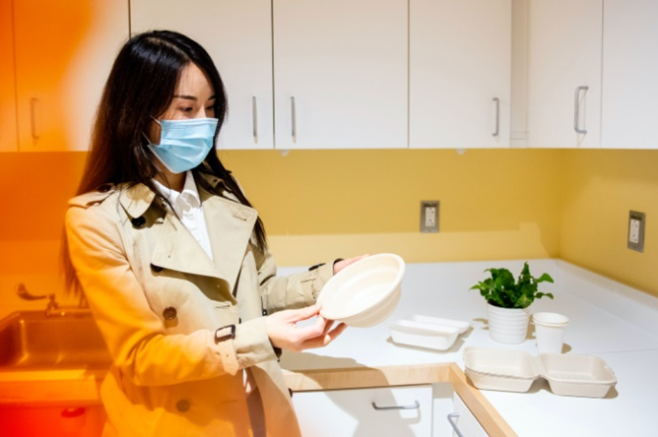 Goodbye Picnic Plastic: Bamboo-Sugarcane Tableware Biodegrades in 60 Days