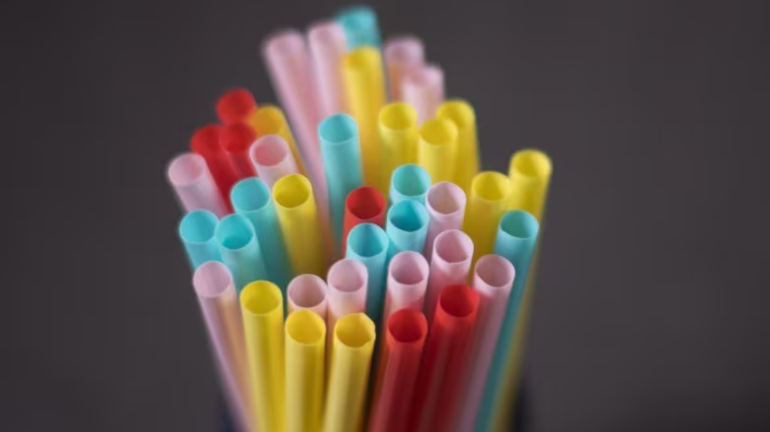 Canada's single-use plastic ban faces its first legal test