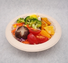 360ml 12oz Φ9.7"xH2.3" 10g Bagasse Compostable Take Away Salad Packing Bowl
