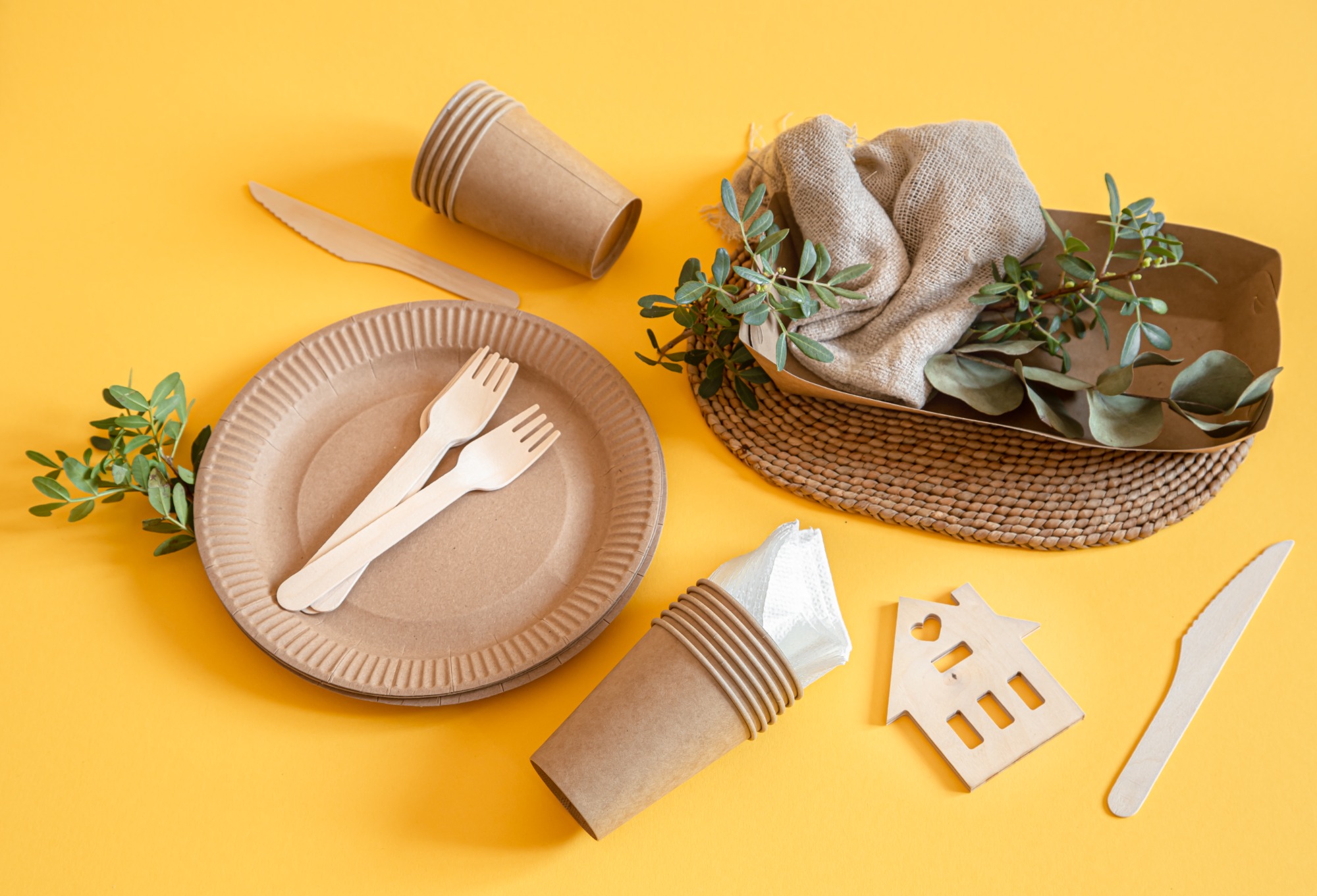 Eco-friendly disposable cutlery and paper dishes on an orange surface.