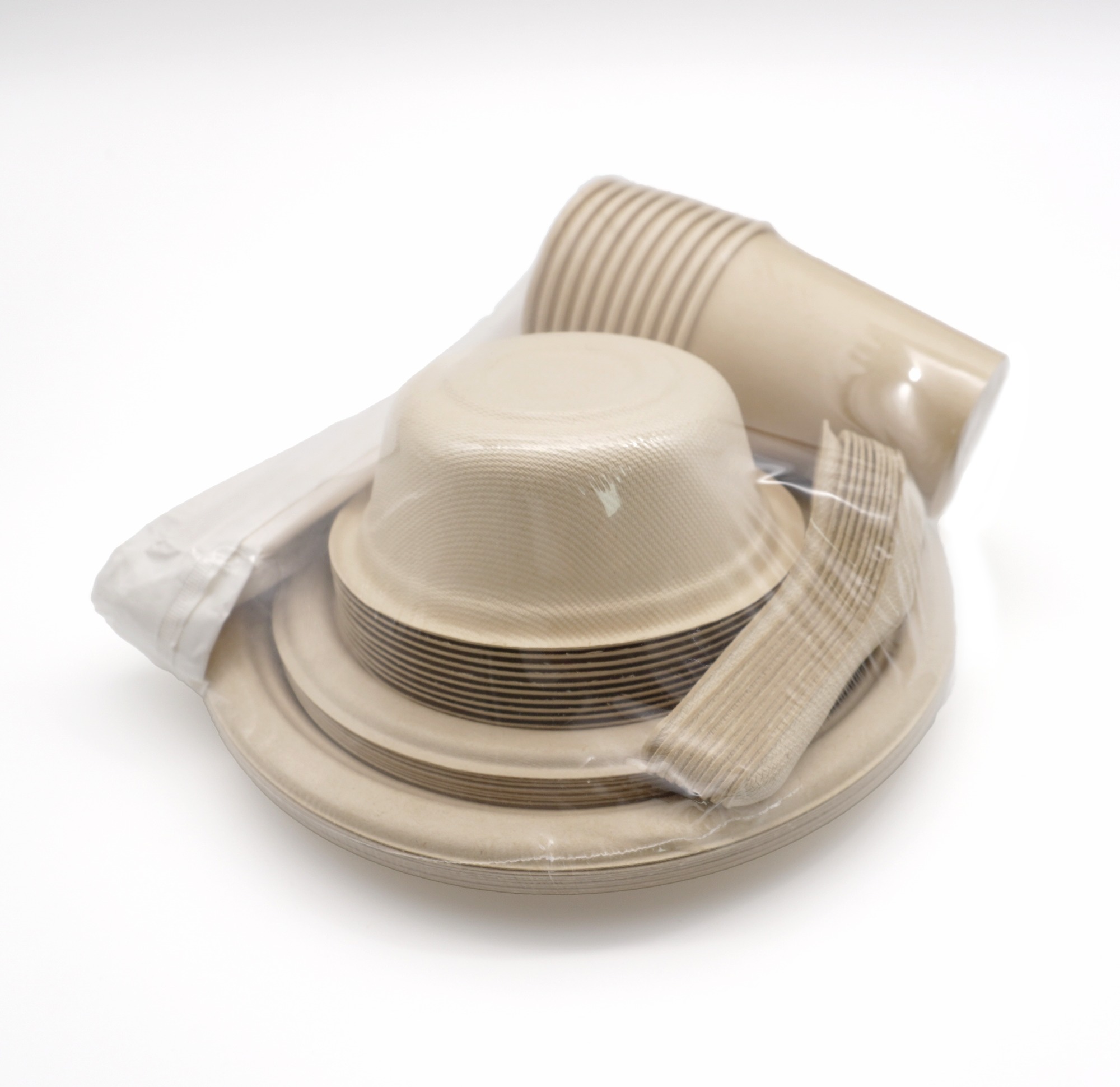 Biodegradable Bagasse Tableware Set