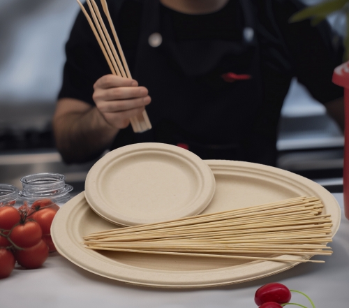 Biodegradable Paper Dinnerware Set for Food Truck