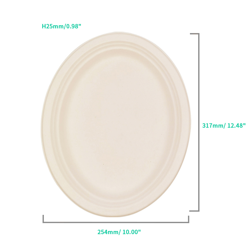 Biodegradable Paper Dinnerware Set for Food Truck