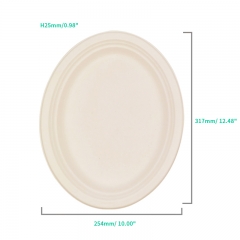 Biodegradable Disposable Tableware Set for Barbecue
