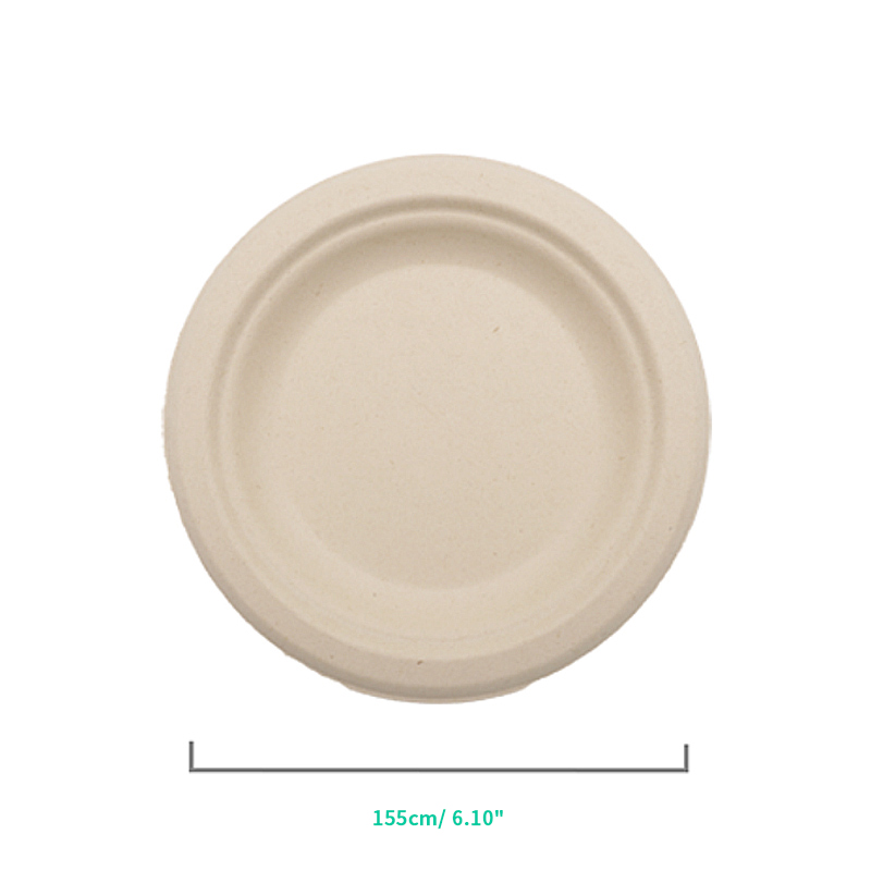 Biodegradable Paper Dinnerware Set for Food Truck
