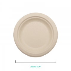 Biodegradable Paper Dinnerware Set for Food Truck