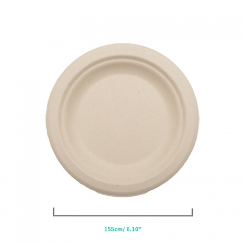 Biodegradable Paper Dinnerware Set for Food Truck