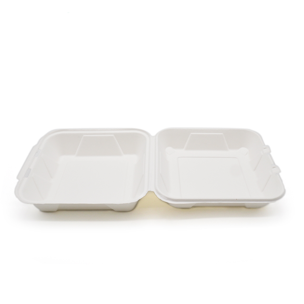 900ml 8x8xH2.76" (Fold) 31g Bagasse Compostable Hinged Food Container for Takeaway