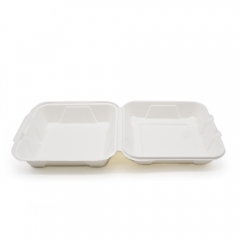 900ml 8x8xH2.76" (Fold) 31g Bagasse Compostable Hinged Food Container for Takeaway
