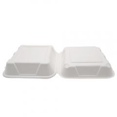 900ml 8x8xH2.76" (Fold) 31g Bagasse Compostable Hinged Food Container for Takeaway