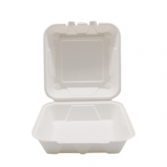 900ml 8x8xH2.76" (Fold) 31g Bagasse Compostable Hinged Food Container for Takeaway