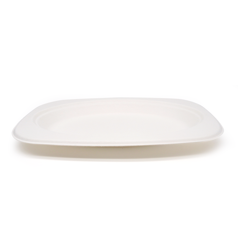 9.06x6.30xH0.79" 13g Bagasse Compostable Disposable Cafeteria Lunch Trays