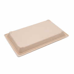 7.28x5.04xH0.79" 13g Bagasse Compostable Large Sushi Tray Plate