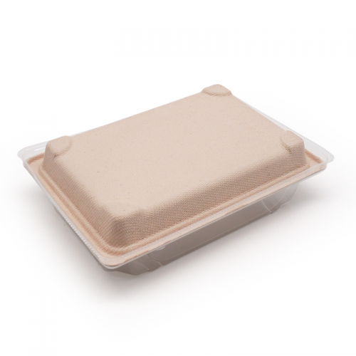 6.50x4.53x0.79" 10g Bagasse Compostable Eco Disposable Sushi Take Out Containers