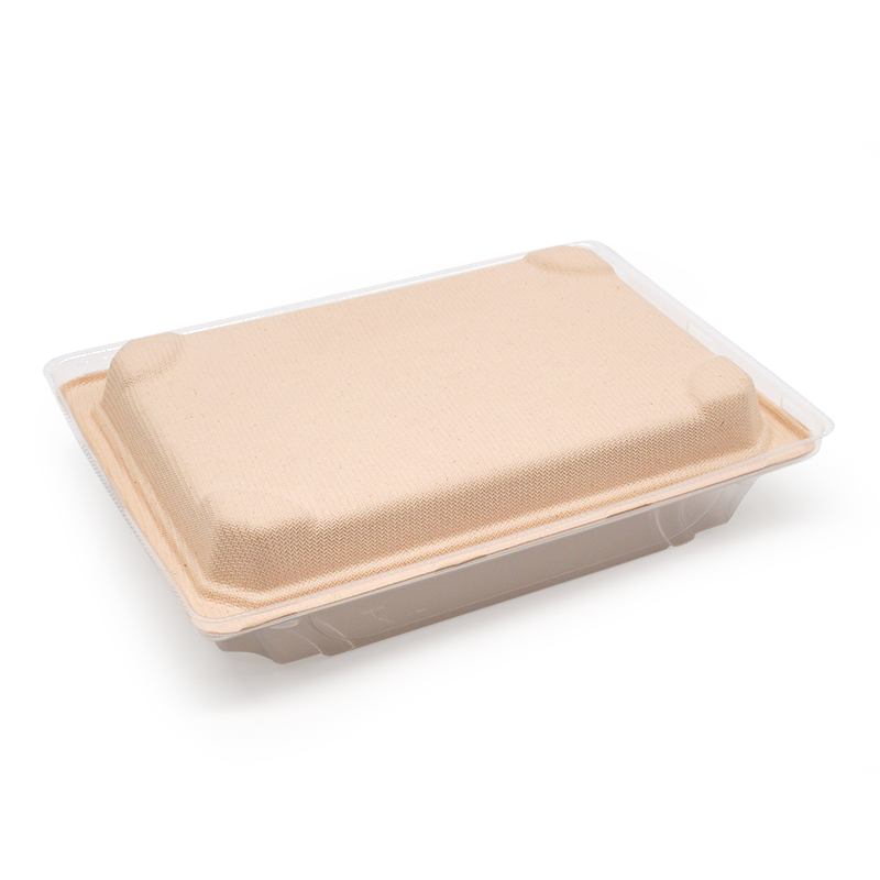 8.48x5.33x0.79" 15g Bagasse Compostable Long Bagasse Sushi Tray for Restaurant Takeaway