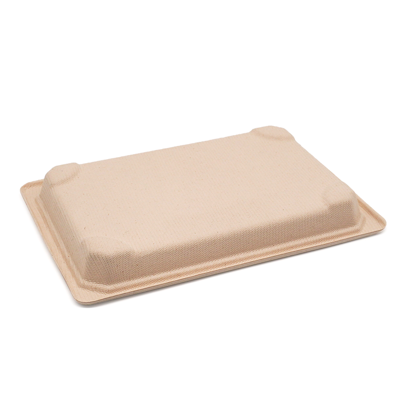 8.48x5.33x0.79" 15g Bagasse Compostable Long Bagasse Sushi Tray for Restaurant Takeaway
