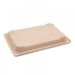 8.48x5.33x0.79" 15g Bagasse Compostable Long Bagasse Sushi Tray for Restaurant Takeaway