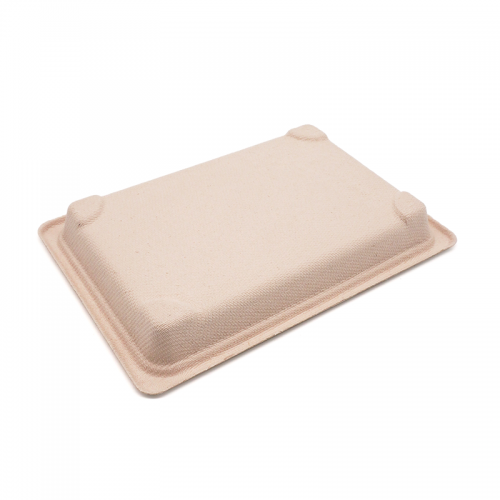 6.50x4.53x0.79" 10g Bagasse Compostable Eco Disposable Sushi Take Out Containers