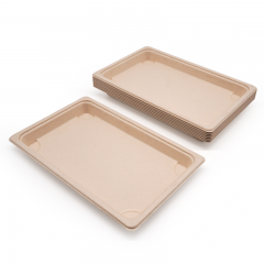 9.39x5.73xH0.91" 19g Bagasse Compostable Sushi To Go Container