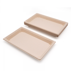 7.28x5.04xH0.79" 13g Bagasse Compostable Large Sushi Tray Plate