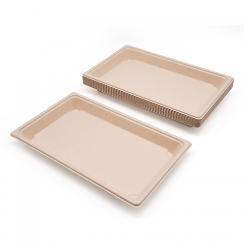 7.28x5.04xH0.79" 13g Bagasse Compostable Large Sushi Tray Plate
