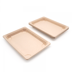 8.48x5.33x0.79" 15g Bagasse Compostable Long Bagasse Sushi Tray for Restaurant Takeaway