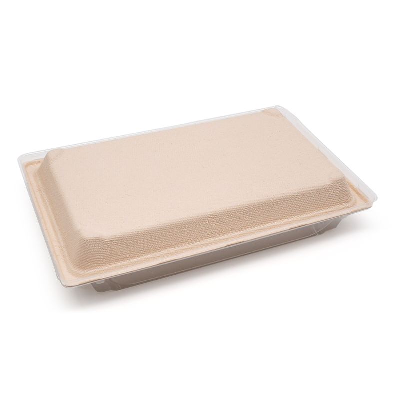 7.28x5.04xH0.79" 13g Bagasse Compostable Large Sushi Tray Plate