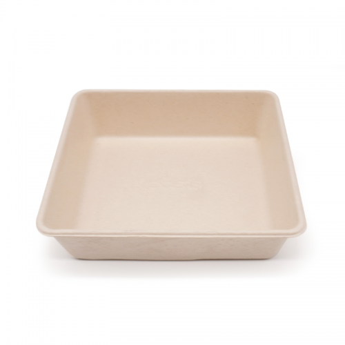 4.53x4.53xH1.38" 10g Bagasse Compostable Disposable To Go Tray for Meal