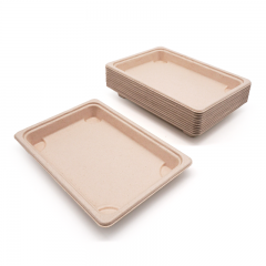 6.50x4.53x0.79" 10g Bagasse Compostable Eco Disposable Sushi Take Out Containers