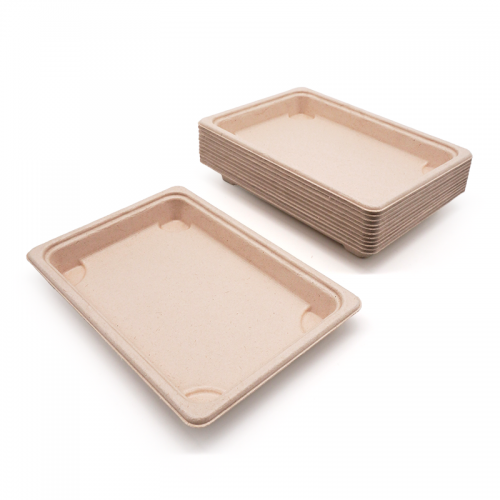 6.50x4.53x0.79" 10g Bagasse Compostable Eco Disposable Sushi Take Out Containers