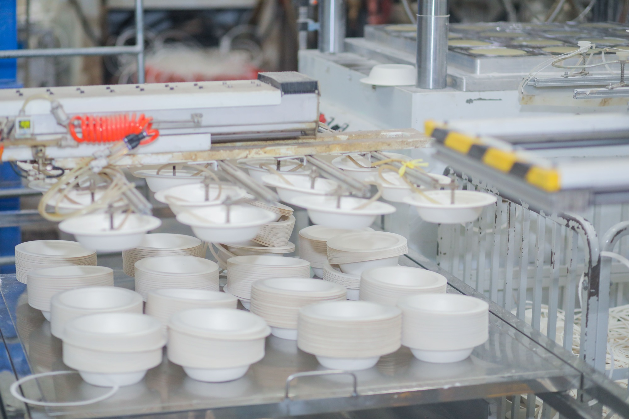 Molded Fiber & Pulp Packaging: Cost, Benefits & Applications